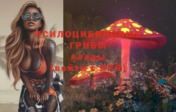 гашик Алексеевка