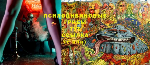дурь Алзамай