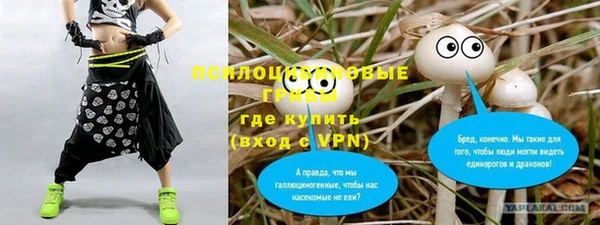 дурь Алзамай