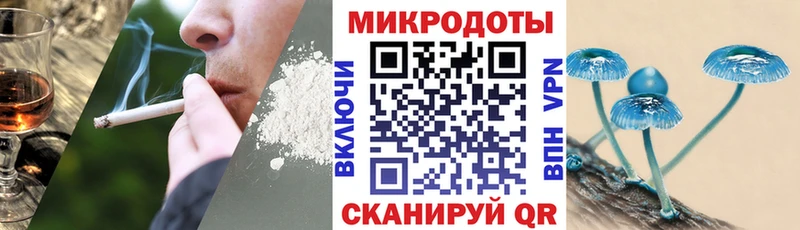 Галлюциногенные грибы MAGIC MUSHROOMS  сайты даркнета клад  Грязовец 