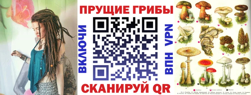 Псилоцибиновые грибы Magic Shrooms Грязовец