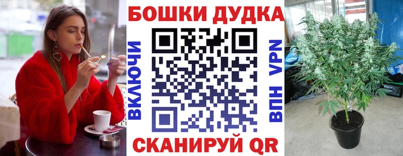 цена   Грязовец  Конопля гибрид 